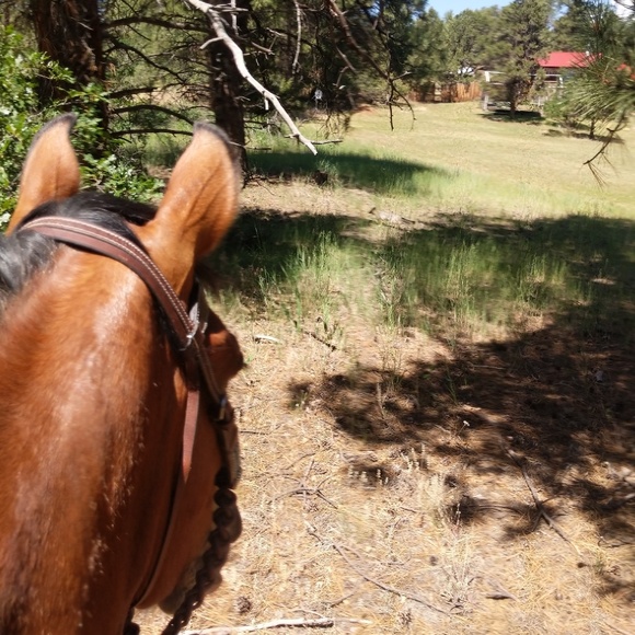 Meet your Posher, Shawna - Picture 1 of 1